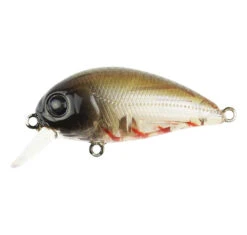 Atomic Hardz Crank 38 Mid Diver Lure -Fishing Gear Sale Atomic Hardz Crank 38 Mid Tristoseagles