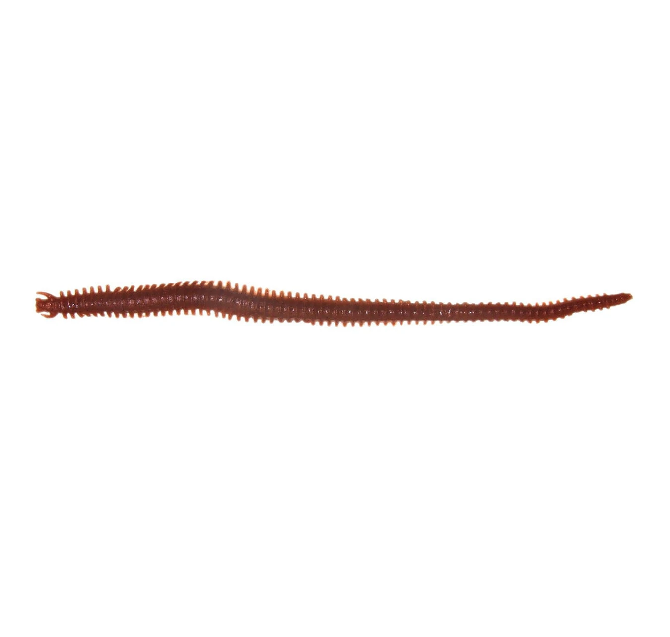 Berkley Gulp Sandworm 6" Soft Plastics 4 Berkley Gulp Sandworm 6" Soft Plastics - Image 2