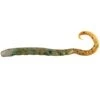 Berkley Gulp Turtleback Worm 4" Soft Plastics -Fishing Gear Sale berkley gulp turtleback worm 4 banana prawn