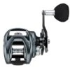 Daiwa Lexa 21 TW Baitcast Reels -Fishing Gear Sale daiwa 21 lexa tw