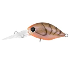 Daiwa Infeet Rollin' Crank DR Lure -Fishing Gear Sale daiwa infeet rollin crank dr brown suji uv