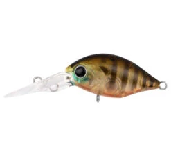 Daiwa Infeet Rollin' Crank DR Lure -Fishing Gear Sale daiwa infeet rollin crank dr clear gill