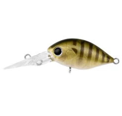 Daiwa Infeet Rollin' Crank DR Lure -Fishing Gear Sale daiwa infeet rollin crank dr sunnygill