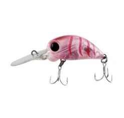 Jackson Pygmy Crank Lures -Fishing Gear Sale jackson pygmy crank lure col oki