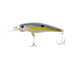 Lucky Craft Bevy Shad MK-11 50sp Lure -Fishing Gear Sale lucky craft bevy shad mk 11 50sp col sexy chartreuse shad