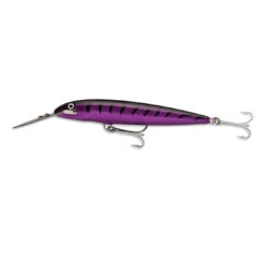Rapala Countdown Magnum CD-MAG Lures -Fishing Gear Sale rapala magnum cd mag lure col purple sardine