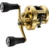 Shimano 23 Calcutta Conquest MD Baitcast Reel -Fishing Gear Sale shimano calcutta conquest md