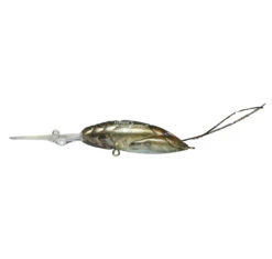 Megabass X-Dad -Fishing Gear Sale x dad glass shrimp 4