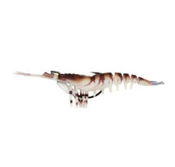 Zerek Live Cherabin Soft Plastic -Fishing Gear Sale zerek live cherabin soft plastic col 12 1